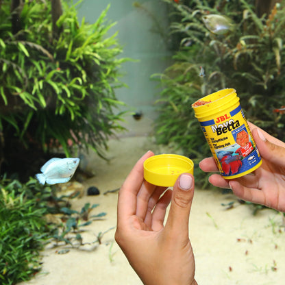 JBL NovoBetta Alimento completo para laberíntidos, p. ej., peces luchadores Gabo&Gordo Pet Shop en Las Palmas de Gran Canaria tienda para mascotas, perros, gatos, conejos, tortugas, animales, accesorios para mascotas