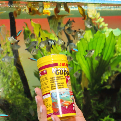 JBL NovoGuppy Alimento básico para peces vivíparos, p. ej., los guppys Gabo&Gordo Pet Shop en Las Palmas de Gran Canaria tienda para mascotas, perros, gatos, conejos, tortugas, animales, accesorios para mascotas