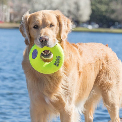 KONG AirDog Squeaker Donut Con Sonido.  Gabo y Gordo Pet Shop, tienda online en las Islas Canarias, España, tienda online para mascotas, perros, gatos, conejos, tortugas, animales, accesorios para mascotas en general. 