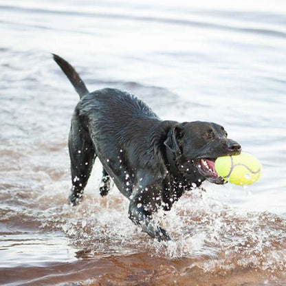 KONG DOG FOOTBALL CON SONIDO Pelota juguete para perros Gabo y Gordo Pet Shop, tienda online en las Islas Canarias, España, tienda online para mascotas, perros, gatos, conejos, tortugas, animales, accesorios para mascotas en general. 