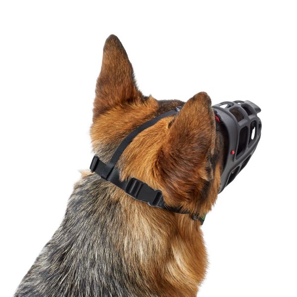 BOZAL HUNTER ALBURY / Muzzle Albury Gabo y Gordo E Shop, la mejor tienda online en las Islas Canarias, España, tienda online para mascotas, perros, gatos, conejos, tortugas, animales, accesorios para mascotas en general. 
Gabo y Gordo E Shop in Canary Islands, the best store for pets, dogs, cats, rabbits, turtles, animals, pet accessories.