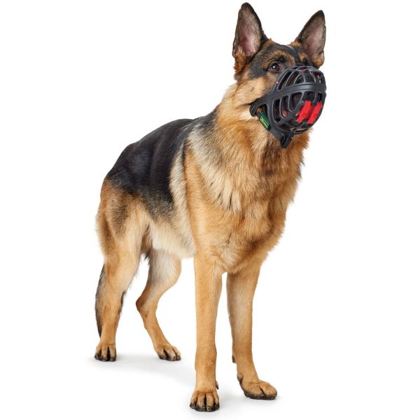 BOZAL HUNTER ALBURY / Muzzle Albury Gabo y Gordo E Shop, la mejor tienda online en las Islas Canarias, España, tienda online para mascotas, perros, gatos, conejos, tortugas, animales, accesorios para mascotas en general. 
Gabo y Gordo E Shop in Canary Islands, the best store for pets, dogs, cats, rabbits, turtles, animals, pet accessories.