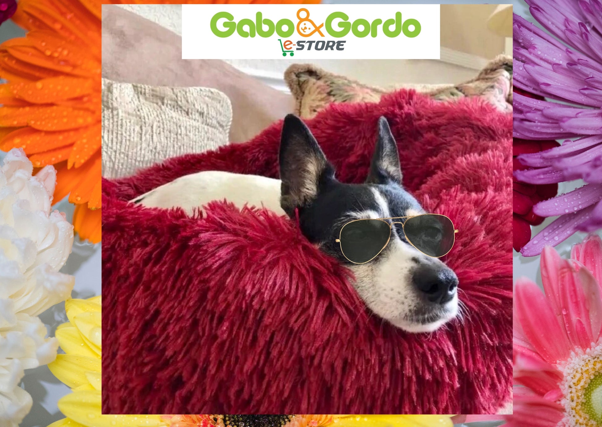 CAMA SUAVE RELAX PERRO GATO MASCOTA Gabo&Gordo Pet Shop en Las Palmas de Gran Canaria tienda para mascotas, perros, gatos, conejos, tortugas, animales, accesorios para mascotas