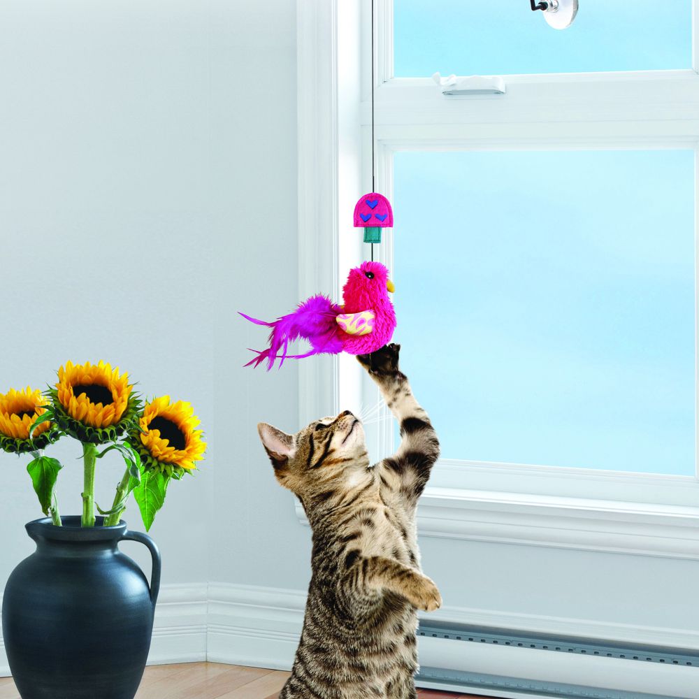 KONG Cat Active Window Teaser Surtido juguete activo para gato Gabo&Gordo Pet Shop en Las Palmas de Gran Canaria tienda para mascotas, perros, gatos, conejos, tortugas, animales, accesorios para mascotas
