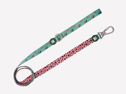 DUKIER CORREA LEOPARD Gabo&Gordo Pet Shop en Las Palmas de Gran Canaria tienda para mascotas, perros, gatos, conejos, tortugas, animales, accesorios para mascotas