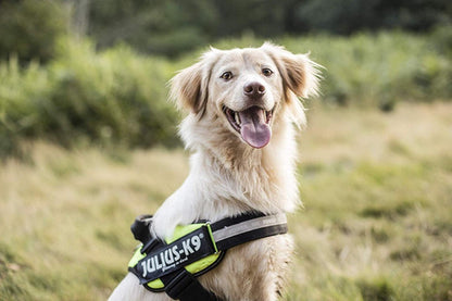 JULIUS K9 IDC Powerharness arnés Verde Neón para perro Gabo&Gordo Pet Shop en Las Palmas de Gran Canaria tienda para mascotas, perros, gatos, conejos, tortugas, animales, accesorios para mascotas