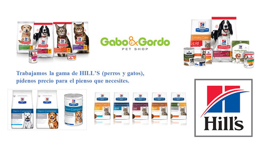 Pienso HILL'S para perros y gatos. en Gabo&Gordo Pet Shop en Las Palmas de Gran Canaria tienda para mascotas, perros, gatos, conejos, tortugas, animales, accesorios para mascotas