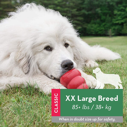 KONG Classic juguete resistente de caucho natural para perros, ideal para masticar, jugar y rellenar con snacks, disponible en Gabo y Gordo E Shop.