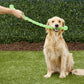 KONG SAFESTIX | juguete flexible resistente para perros en Gabo&Gordo Pet Shop en Las Palmas de Gran Canaria tienda para mascotas, perros, gatos, conejos, tortugas, animales, accesorios para mascotas
