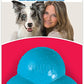 Kong Durasoft Puppy Clover Small Dog Toy.  Gabo y Gordo Pet Shop, tienda online en las Islas Canarias, España, tienda online para mascotas, perros, gatos, conejos, tortugas, animales, accesorios para mascotas en general. 
