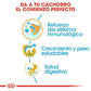 ROYAL CANIN LABRADOR RETRIEVER PUPPY Gabo y Gordo E Shop, la mejor tienda online en Gran Canaria, Islas Canarias, España, tienda online para mascotas, perros, gatos, conejos, tortugas, animales, accesorios para mascotas en general. 
Gabo y Gordo E Shop is the best online pet shop in Gran Canaria, Canary Islands, Spain.