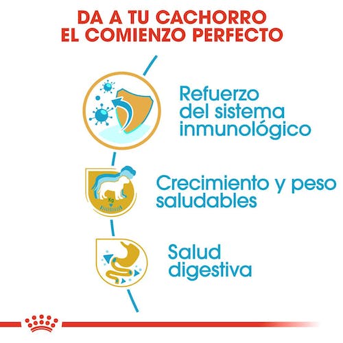ROYAL CANIN LABRADOR RETRIEVER PUPPY Gabo y Gordo E Shop, la mejor tienda online en Gran Canaria, Islas Canarias, España, tienda online para mascotas, perros, gatos, conejos, tortugas, animales, accesorios para mascotas en general. 
Gabo y Gordo E Shop is the best online pet shop in Gran Canaria, Canary Islands, Spain.