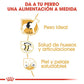 ROYAL CANIN Labrador Retriever Adulto Gabo y Gordo E Shop, la mejor tienda online en Gran Canaria, Islas Canarias, España, tienda online para mascotas, perros, gatos, conejos, tortugas, animales, accesorios para mascotas en general. 
Gabo y Gordo E Shop is the best online pet shop in Gran Canaria, Canary Islands, Spain.