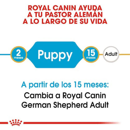 ROYAL CANIN RAZA PASTOR ALEMÁN PUPPY Gabo y Gordo E Shop, la mejor tienda online en Gran Canaria, Islas Canarias, España, tienda online para mascotas, perros, gatos, conejos, tortugas, animales, accesorios para mascotas en general. 
Gabo y Gordo E Shop is the best online pet shop in Gran Canaria, Canary Islands, Spain.