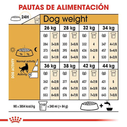 ROYAL CANIN PASTOR ALEMÁN Adulto Gabo y Gordo E Shop, la mejor tienda online en Gran Canaria, Islas Canarias, España, tienda online para mascotas, perros, gatos, conejos, tortugas, animales, accesorios para mascotas en general. 
Gabo y Gordo E Shop is the best online pet shop in Gran Canaria, Canary Islands, Spain.