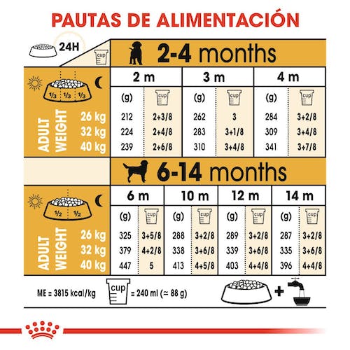 ROYAL CANIN LABRADOR RETRIEVER PUPPY Gabo y Gordo E Shop, la mejor tienda online en Gran Canaria, Islas Canarias, España, tienda online para mascotas, perros, gatos, conejos, tortugas, animales, accesorios para mascotas en general. 
Gabo y Gordo E Shop is the best online pet shop in Gran Canaria, Canary Islands, Spain.