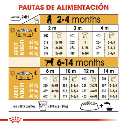 ROYAL CANIN LABRADOR RETRIEVER PUPPY Gabo y Gordo E Shop, la mejor tienda online en Gran Canaria, Islas Canarias, España, tienda online para mascotas, perros, gatos, conejos, tortugas, animales, accesorios para mascotas en general. 
Gabo y Gordo E Shop is the best online pet shop in Gran Canaria, Canary Islands, Spain.