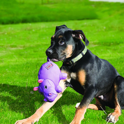 KONG Phatz peluches para perros Gabo&Gordo Pet Shop en Las Palmas de Gran Canaria tienda para mascotas, perros, gatos, conejos, tortugas, animales, accesorios para mascotas