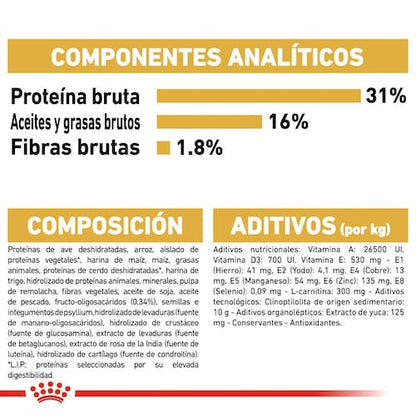 ROYAL CANIN Rottweiler PUPPY 12 kg Gabo y Gordo E Shop, la mejor tienda online en Gran Canaria, las Islas Canarias, España, tienda online para mascotas, perros, gatos, conejos, tortugas, animales, accesorios para mascotas en general. 
Gabo y Gordo E Shop is the best online pet shop in Gran Canaria, Canary Islands, Spain.