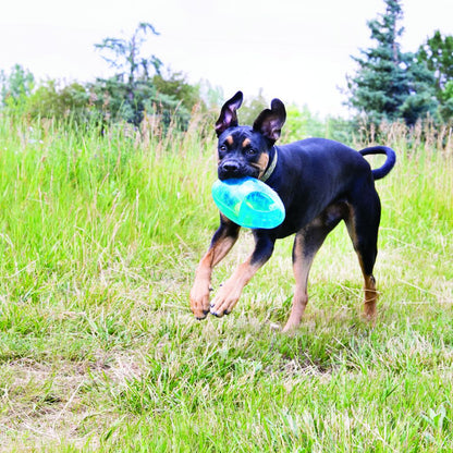 KONG JUMBLER Football T-Large/X-Large | MORADO.  Gabo y Gordo Pet Shop, tienda online en las Islas Canarias, España, tienda online para mascotas, perros, gatos, conejos, tortugas, animales, accesorios para mascotas en general. 