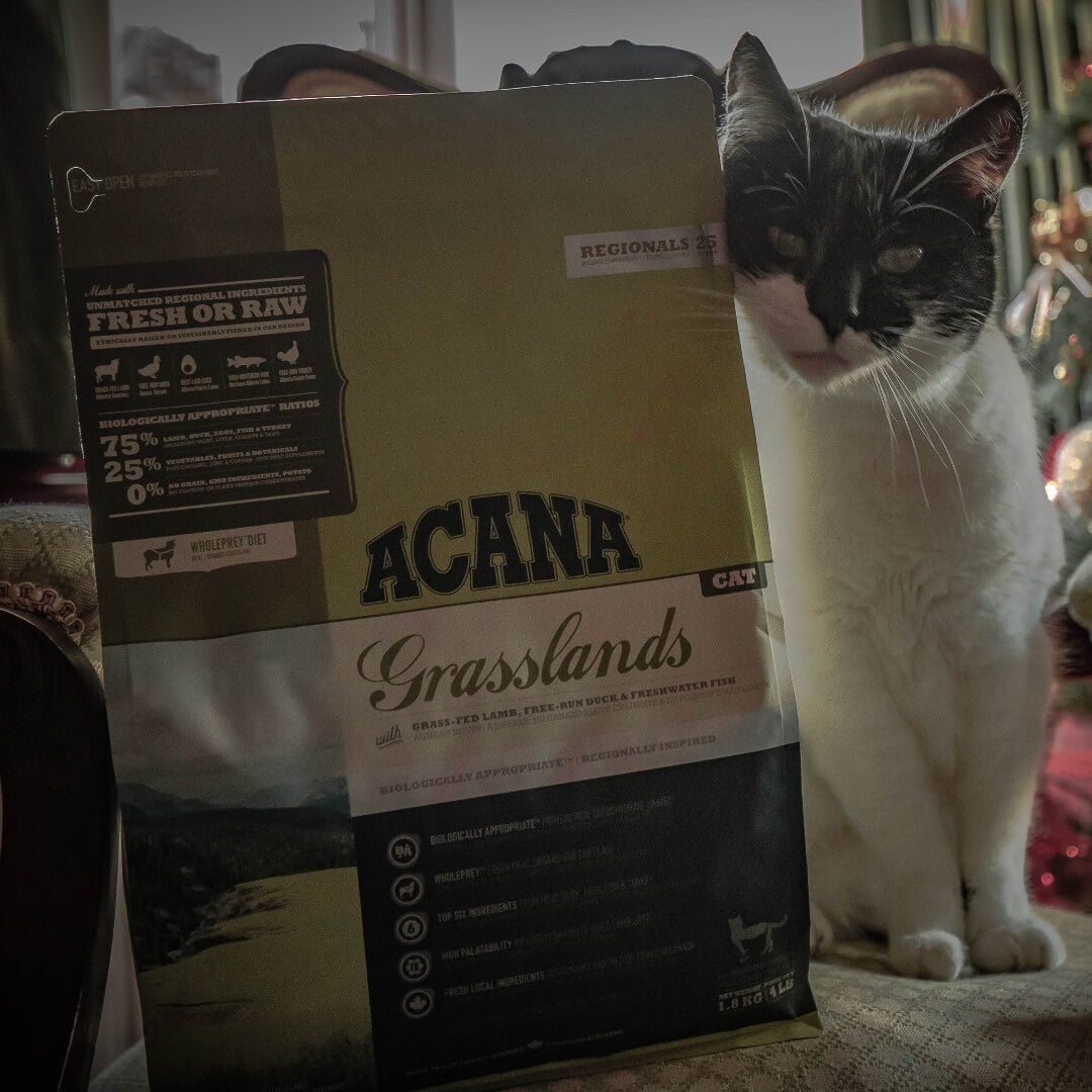 Pienso ACANA Grasslands sin cereales con proteínas frescas para gatos de todas las edades