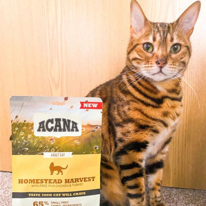ACANA Homestead Harvest pienso natural sin cereales para gatos con pollo y pavo fresco