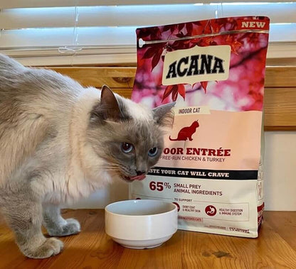 ACANA Indoor Entrée pienso natural sin cereales para gatos de interior