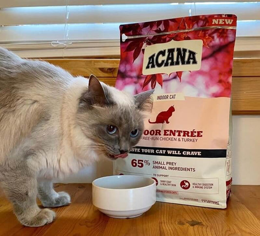 ACANA Indoor Entrée pienso natural sin cereales para gatos de interior