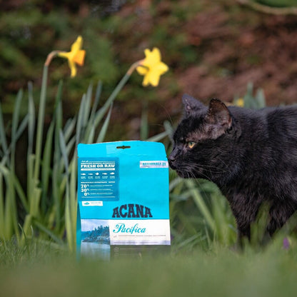 Pienso ACANA Pacifica sin cereales con pescado fresco para gatos de todas las edades