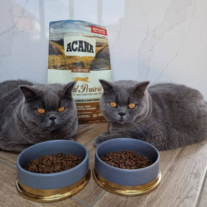 Pienso ACANA Wild Prairie para gatos, natural y sin cereales