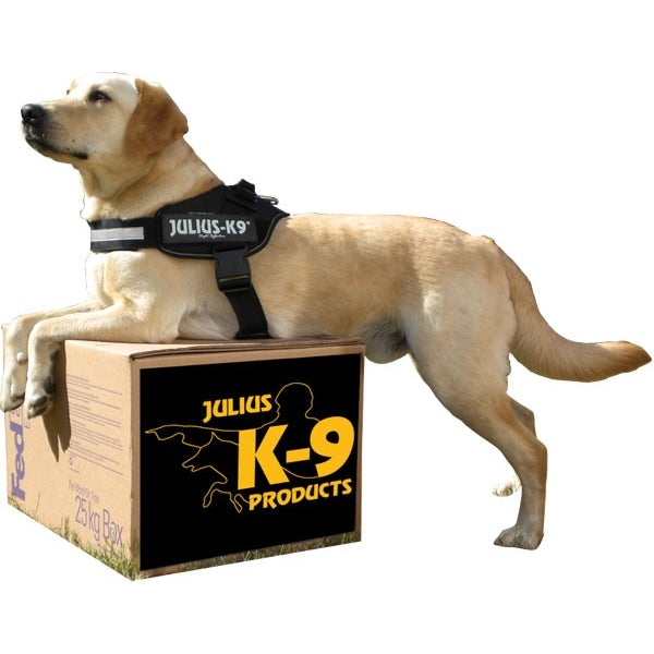 JULIUS K9 IDC Powerharness arnés Negro para perro Gabo&Gordo Pet Shop en Las Palmas de Gran Canaria tienda para mascotas, perros, gatos, conejos, tortugas, animales, accesorios para mascotas