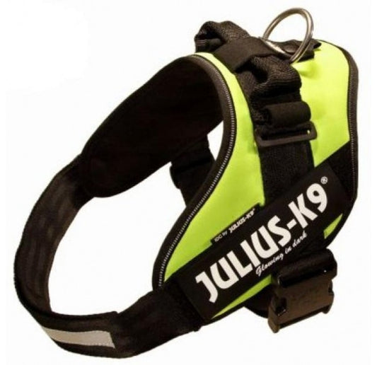 Perro usando arnés Julius K9 IDC Powerharness verde neón con bandas reflectantes en un paseo al aire libre