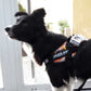 JULIUS K9 IDC Powerharness arnés Rosa Flores para perro Gabo&Gordo Pet Shop en Las Palmas de Gran Canaria tienda para mascotas, perros, gatos, conejos, tortugas, animales, accesorios para mascotas