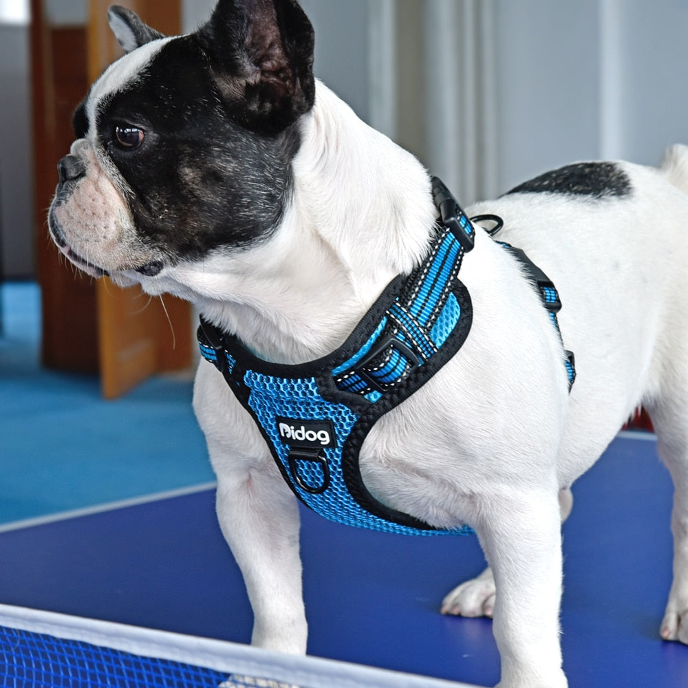 ÁRNES ANTI-TIRONES REFLECTIVE en mejor tienda online en las Islas Canarias, España, tienda online para mascotas, perros, gatos, conejos, tortugas, animales, accesorios para mascotas en general. 
Gabo y Gordo E Shop in Canary Islands, the best store for pets, dogs, cats, rabbits, turtles, animals, pet accessories.