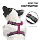 ÁRNES ANTI-TIRONES REFLECTIVE en mejor tienda online en las Islas Canarias, España, tienda online para mascotas, perros, gatos, conejos, tortugas, animales, accesorios para mascotas en general. 
Gabo y Gordo E Shop in Canary Islands, the best store for pets, dogs, cats, rabbits, turtles, animals, pet accessories.