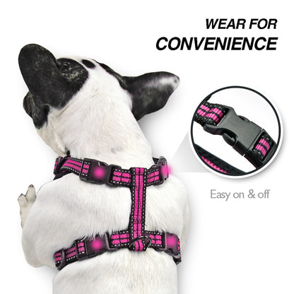 ÁRNES ANTI-TIRONES REFLECTIVE en mejor tienda online en las Islas Canarias, España, tienda online para mascotas, perros, gatos, conejos, tortugas, animales, accesorios para mascotas en general. 
Gabo y Gordo E Shop in Canary Islands, the best store for pets, dogs, cats, rabbits, turtles, animals, pet accessories.