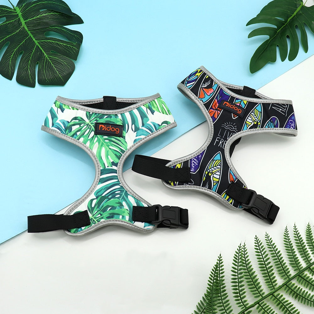 Árnes Tropical Reflectivo PARA PERRO Y GATO en Gabo y Gordo E Shop, la mejor tienda online en las Islas Canarias, España, tienda online para mascotas, perros, gatos, conejos, tortugas, animales, accesorios para mascotas en general. 
Gabo y Gordo E Shop in Canary Islands, the best store for pets, dogs, cats, rabbits, turtles, animals, pet accessories.