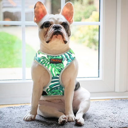 Árnes Tropical Reflectivo PARA PERRO Y GATO en Gabo y Gordo E Shop, la mejor tienda online en las Islas Canarias, España, tienda online para mascotas, perros, gatos, conejos, tortugas, animales, accesorios para mascotas en general. 
Gabo y Gordo E Shop in Canary Islands, the best store for pets, dogs, cats, rabbits, turtles, animals, pet accessories.