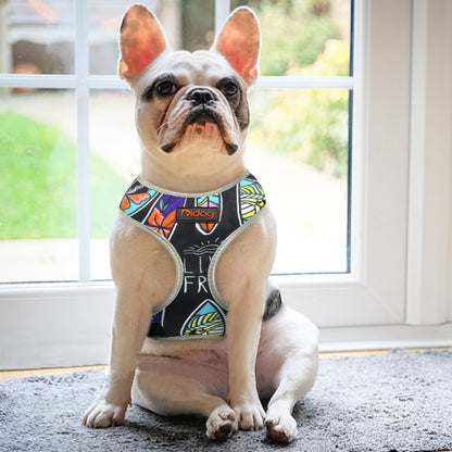 Árnes Tropical Reflectivo PARA PERRO Y GATO en Gabo y Gordo E Shop, la mejor tienda online en las Islas Canarias, España, tienda online para mascotas, perros, gatos, conejos, tortugas, animales, accesorios para mascotas en general. 
Gabo y Gordo E Shop in Canary Islands, the best store for pets, dogs, cats, rabbits, turtles, animals, pet accessories.