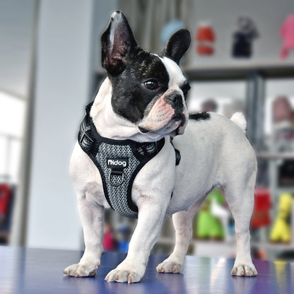 ÁRNES ANTI-TIRONES REFLECTIVE en mejor tienda online en las Islas Canarias, España, tienda online para mascotas, perros, gatos, conejos, tortugas, animales, accesorios para mascotas en general. 
Gabo y Gordo E Shop in Canary Islands, the best store for pets, dogs, cats, rabbits, turtles, animals, pet accessories.
