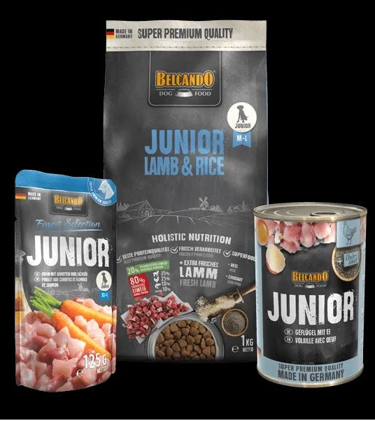 BELCANDO Junior Lamb & Rice pienso con cordero y arroz para cachorros de razas medianas y grandes