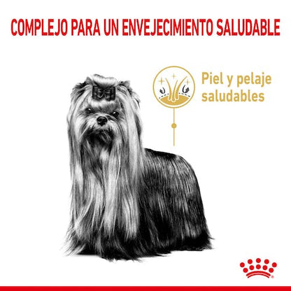 ROYAL CANIN Yorkshire +8 1,5 kg. Gabo y Gordo E Shop, la mejor tienda online en Gran Canaria, las Islas Canarias, España, tienda online para mascotas, perros, gatos, conejos, tortugas, animales, accesorios para mascotas en general. 
Gabo y Gordo E Shop in Gran Canaria, Canary Islands, the best store for pets, dogs, cats, rabbits, turtles, animals, pet accessories.