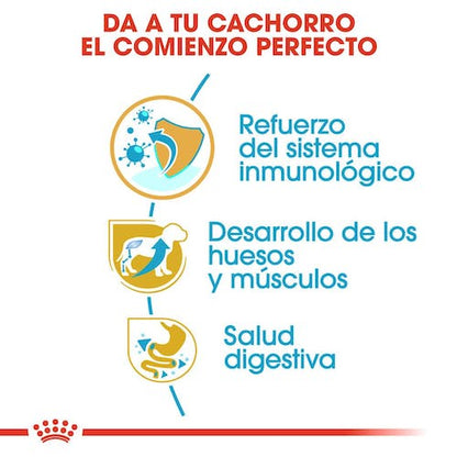 ROYAL CANIN Rottweiler PUPPY 12 kg Gabo y Gordo E Shop, la mejor tienda online en Gran Canaria, las Islas Canarias, España, tienda online para mascotas, perros, gatos, conejos, tortugas, animales, accesorios para mascotas en general. 
Gabo y Gordo E Shop in Gran Canaria, Canary Islands, Spain, the best store for pets, dogs, cats, rabbits, turtles, animals, pet accessories.