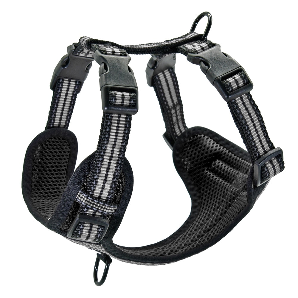 ÁRNES ANTI-TIRONES REFLECTIVE PARA PERRO en mejor tienda online en las Islas Canarias, España, tienda online para mascotas, perros, gatos, conejos, tortugas, animales, accesorios para mascotas en general. 
Gabo y Gordo E Shop in Canary Islands, the best store for pets, dogs, cats, rabbits, turtles, animals, pet accessories.