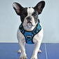 ÁRNES ANTI-TIRONES REFLECTIVE PARA PERRO en mejor tienda online en las Islas Canarias, España, tienda online para mascotas, perros, gatos, conejos, tortugas, animales, accesorios para mascotas en general. 
Gabo y Gordo E Shop in Canary Islands, the best store for pets, dogs, cats, rabbits, turtles, animals, pet accessories.