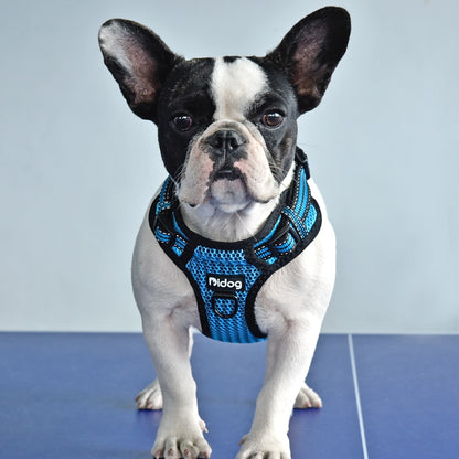 ÁRNES ANTI-TIRONES REFLECTIVE PARA PERRO en mejor tienda online en las Islas Canarias, España, tienda online para mascotas, perros, gatos, conejos, tortugas, animales, accesorios para mascotas en general. 
Gabo y Gordo E Shop in Canary Islands, the best store for pets, dogs, cats, rabbits, turtles, animals, pet accessories.