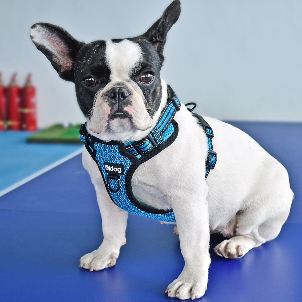 ÁRNES ANTI-TIRONES REFLECTIVE PARA PERRO en mejor tienda online en las Islas Canarias, España, tienda online para mascotas, perros, gatos, conejos, tortugas, animales, accesorios para mascotas en general. 
Gabo y Gordo E Shop in Canary Islands, the best store for pets, dogs, cats, rabbits, turtles, animals, pet accessories.