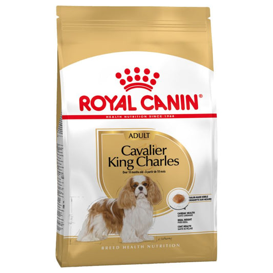 ROYAL CANIN RAZA Cavalier King Charles Adult 3 kg Gabo&Gordo Pet Shop en Las Palmas de Gran Canaria tienda para mascotas, perros, gatos, conejos, tortugas, animales