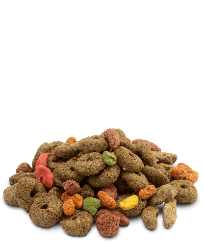 VERSELE LAGA Crispy Snack Fibres | Alimento crispy snack de fibras para conejos, cobayas, chinchillas, degús Gabo&Gordo Pet Shop en Las Palmas de Gran Canaria tienda para mascotas, perros, gatos, conejos, tortugas, animales