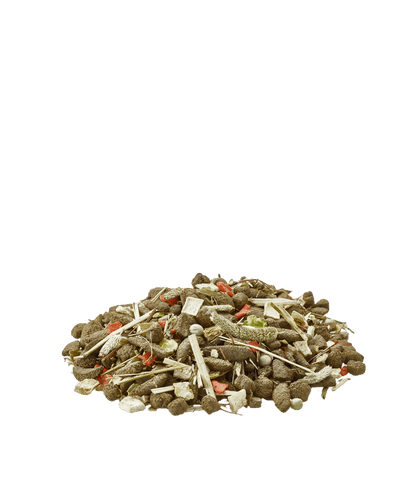 VERSELE LAGA Degu Nature | Alimento para degús Gabo&Gordo Pet Shop en Las Palmas de Gran Canaria tienda para mascotas, perros, gatos, conejos, tortugas, animales